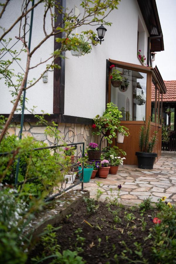 Guest House Rossy Trigrad Exteriér fotografie