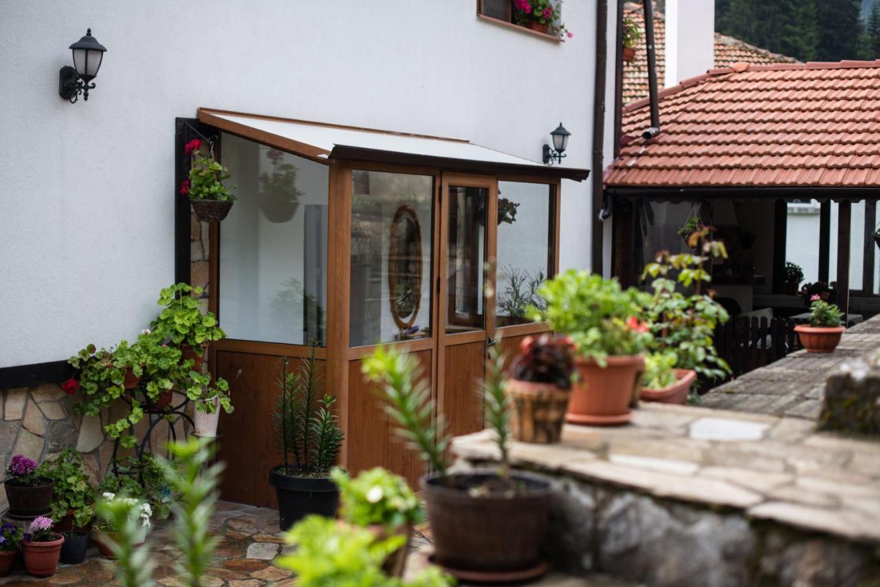 Guest House Rossy Trigrad Exteriér fotografie